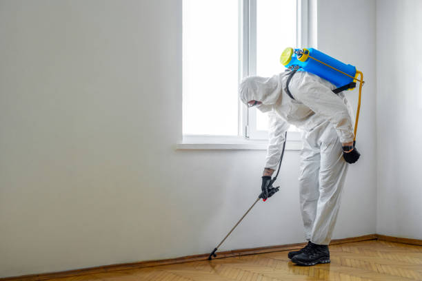 Best Commercial Pest Control Services  in Hanahan, SC