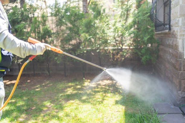 Best Best Pest Control Companies  in Hanahan, SC