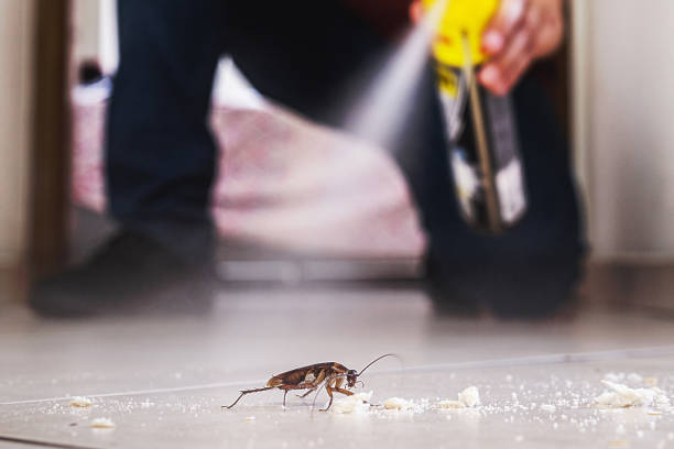Best Pest Control Near Me in Hanahan, SC